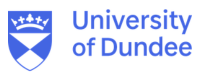 dundee